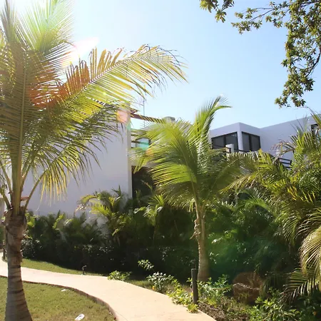 Anah Tulum-2